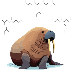 Arctic Ecogeochemistry